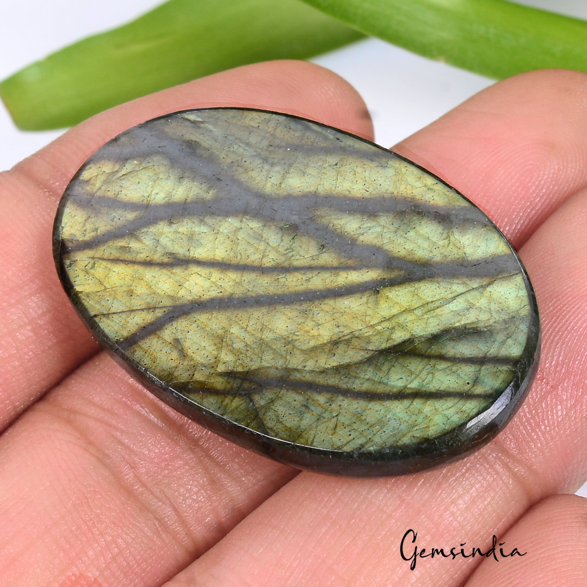 61.80 Ct Natural Untreated Green Blue Shine Labradorite Oval Cab Certified Gems