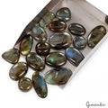580 Ct Natural Multi Flash Labradorite Loose Cabochon Mix Gemstone Wholesale Lot