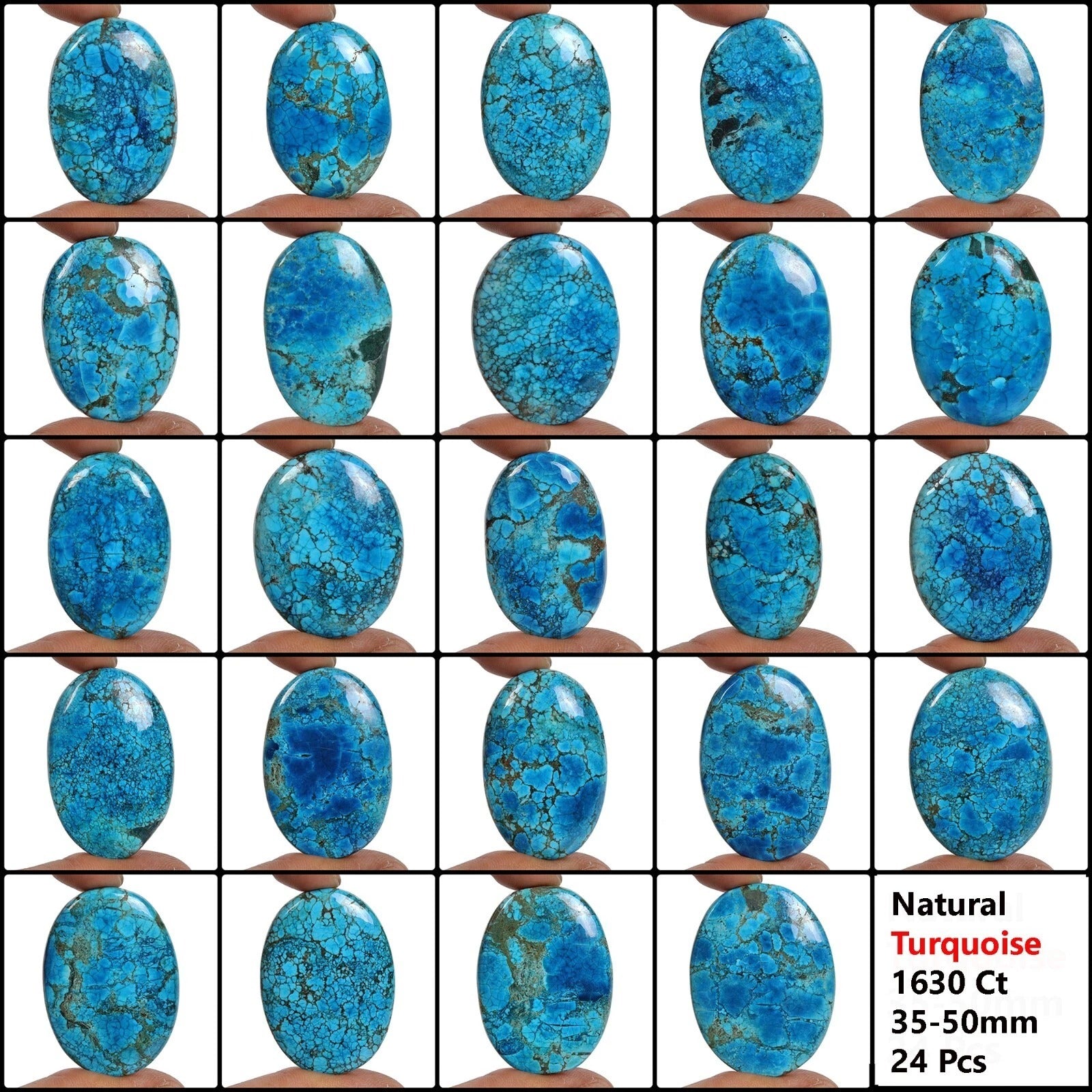 Turquoise Lot, Cabochon, Blue — 24 Pieces, 35mm to 50mm, 1630 Ct