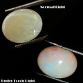 2.70 Cts Natural Multi Flash Fire Ethiopian Opal Oval Cabochon Unheated Gemstone