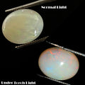 Ethiopian Opal Cabochon, Oval Cabochon, Untreated — 11x9x5mm, 2.70 Ct, Ethiopia
