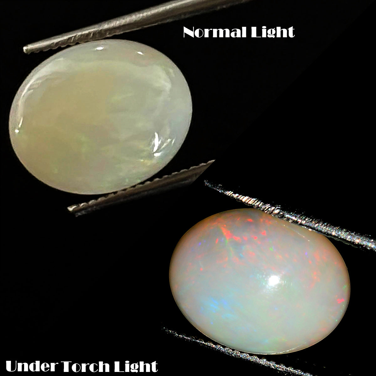Ethiopian Opal Cabochon, Oval Cabochon, Untreated — 11x9x5mm, 2.70 Ct, Ethiopia