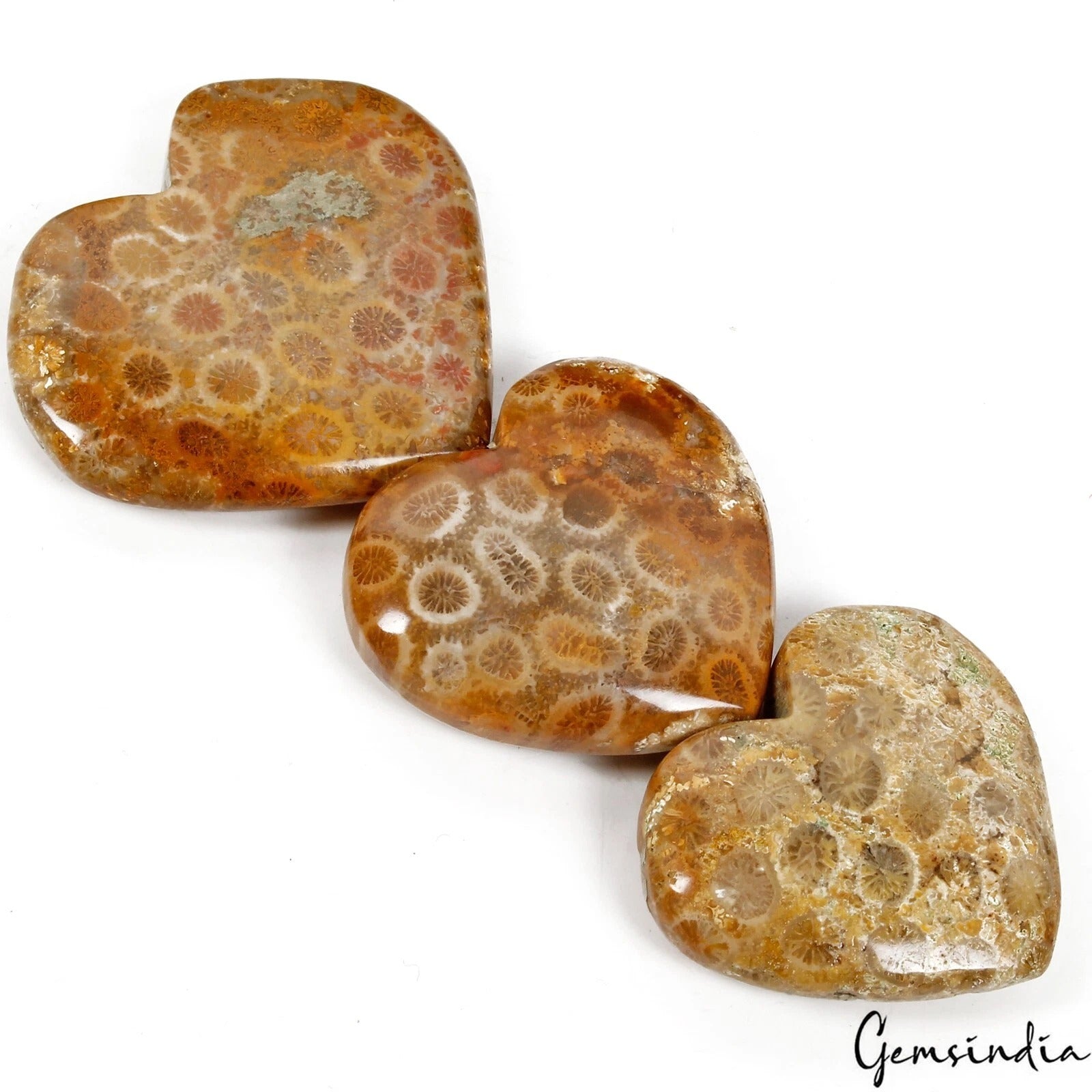Coral Lot, Cabochon, Untreated — 3 Pieces, 32mm to 40mm, 300 Ct, Madagascar