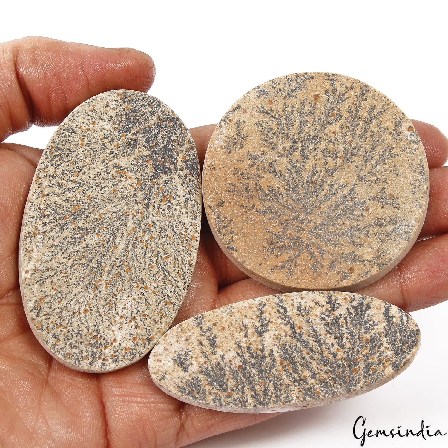 370 Cts/3 Pcs Natural Psilomelane Dendrite Fossil Tree Agate Mix Cut Loose Gems