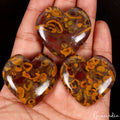 390 Ct Natural Untreated Fruit Jasper Heart Cabochon Loose Pendant Size Gems Lot
