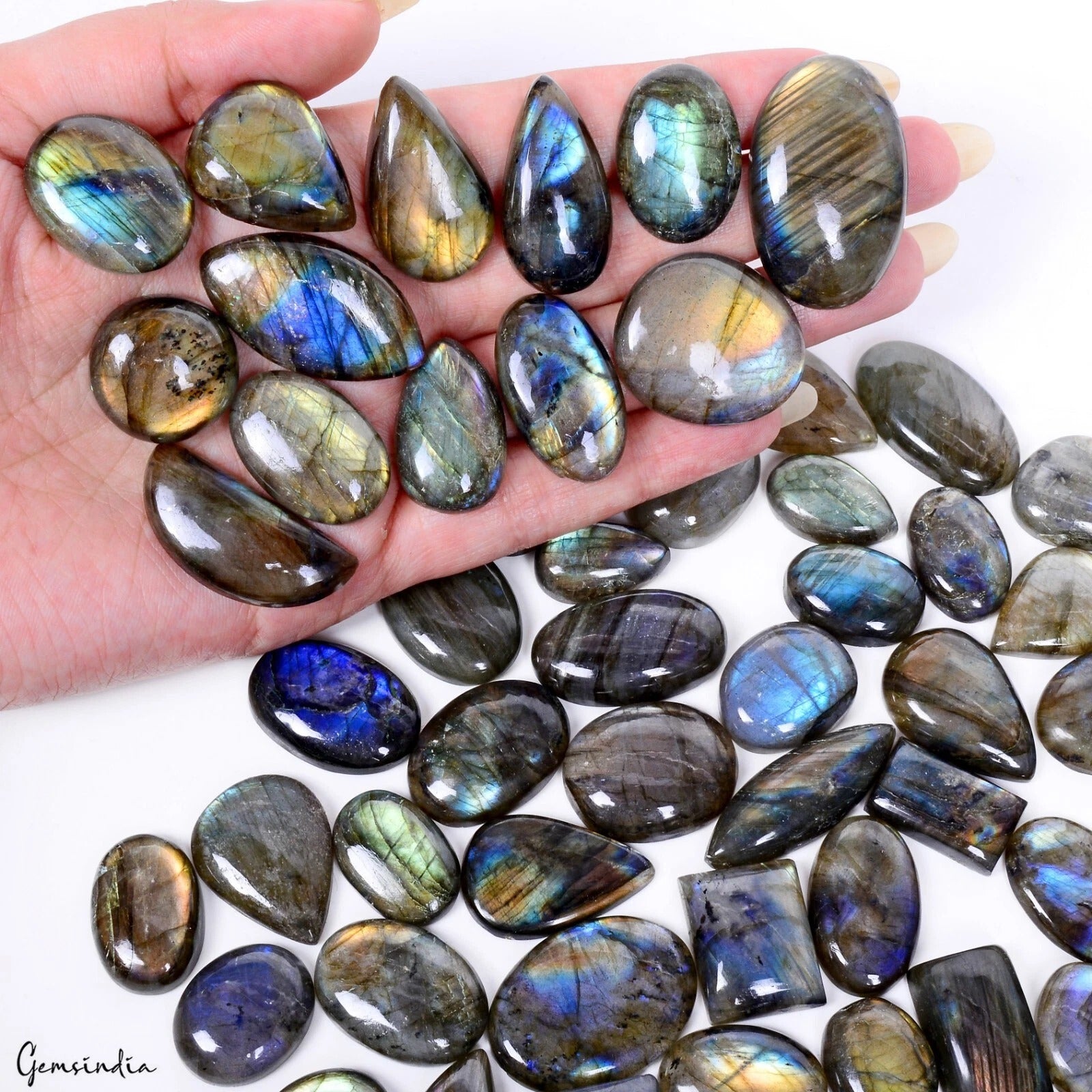 1600 Cts/62 Pcs Natural Multi Color Shine Labradorite Mix Cab Wholesale Gems Lot