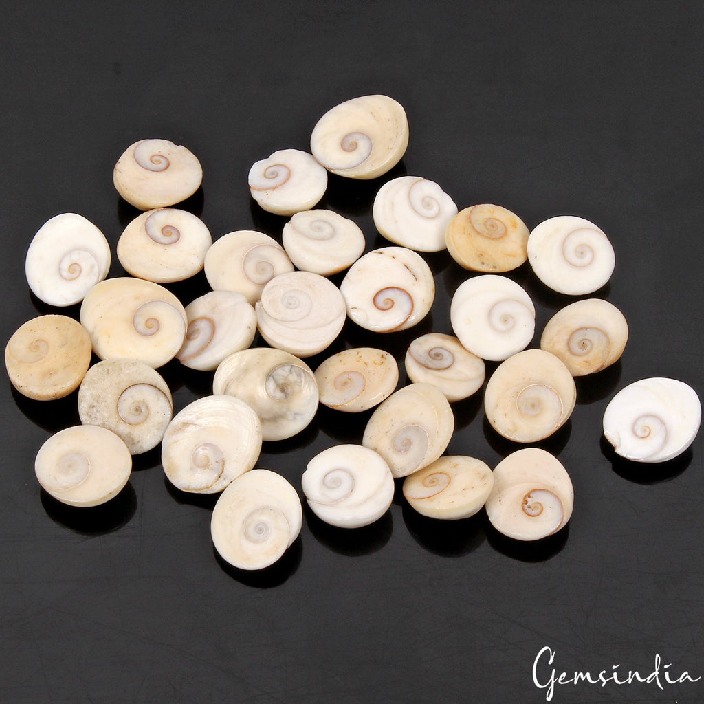 30 Pcs 760 Ct Untreated Natural Gomti Chakra Shiva Eye Shell Cab Loose Gemstones