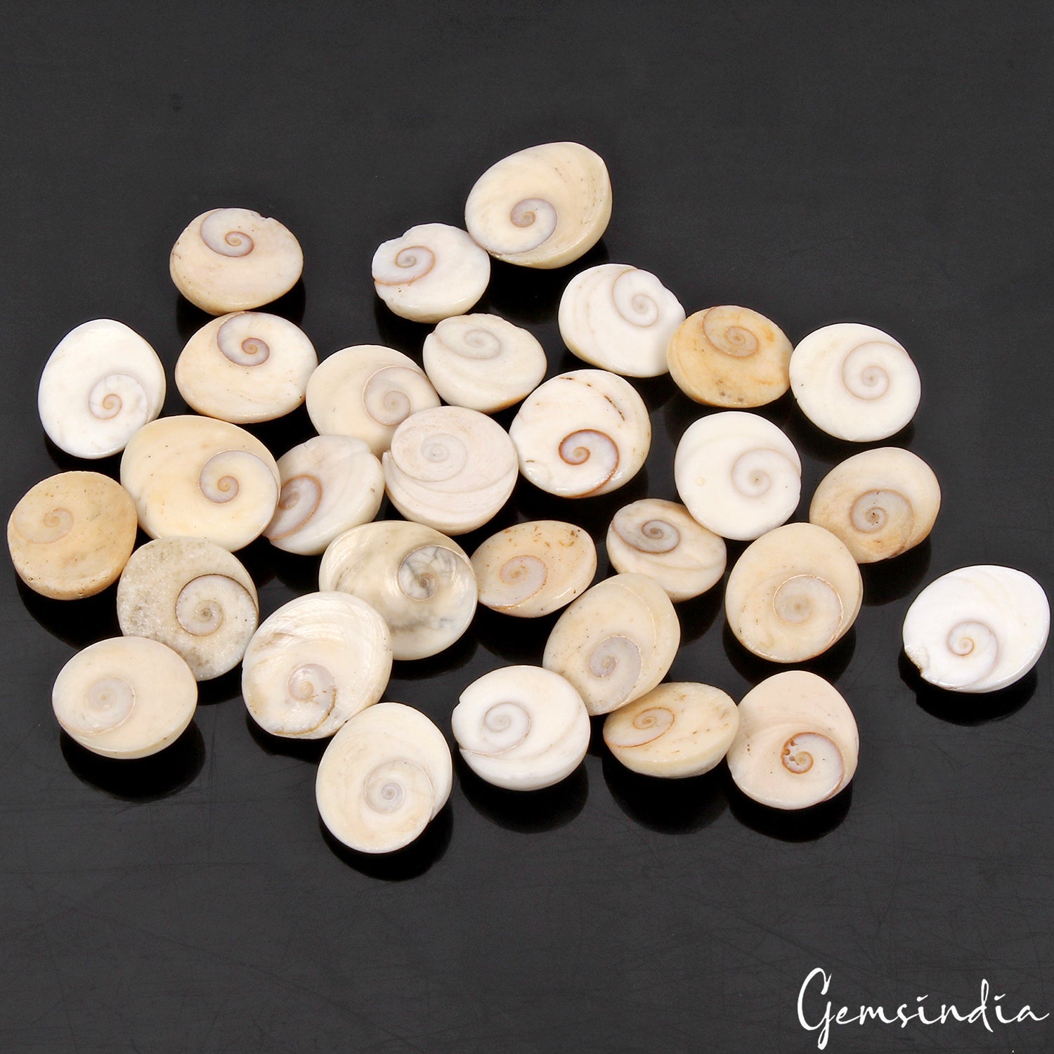 30 Pcs 760 Ct Untreated Natural Gomti Chakra Shiva Eye Shell Cab Loose Gemstones