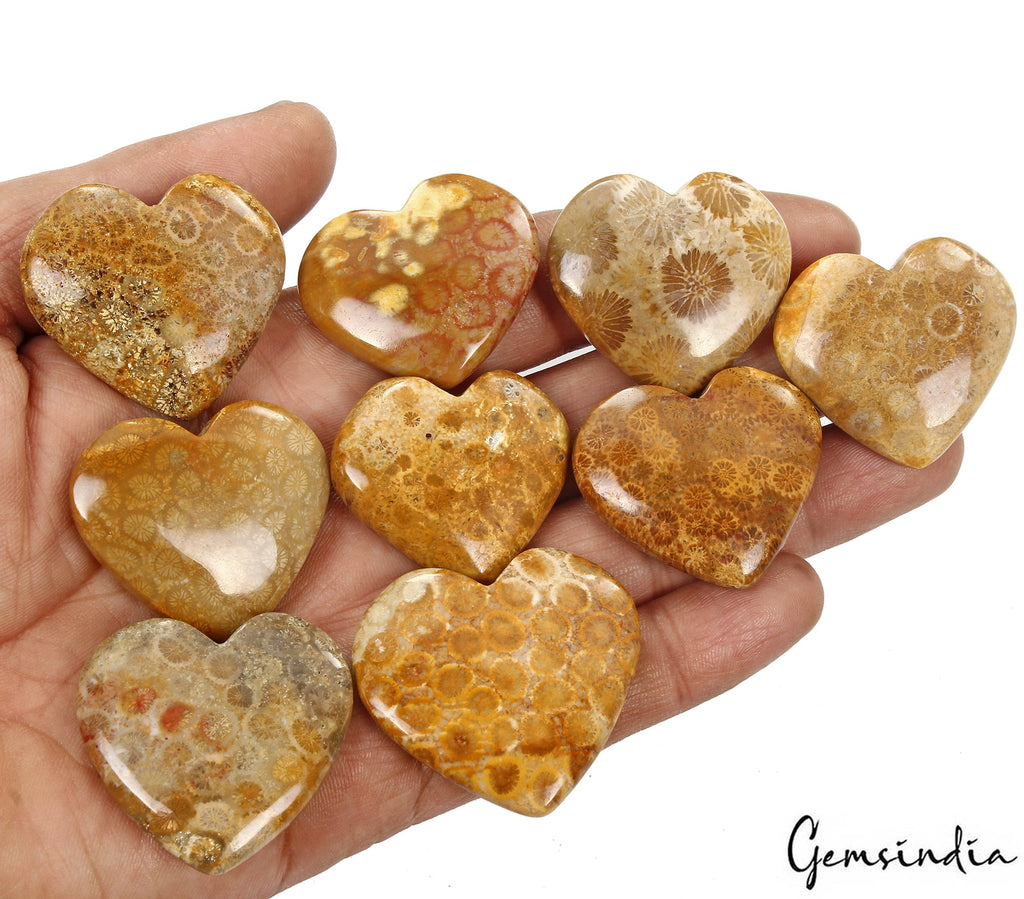 9 Pcs Natural Fossil Coral 30-37mm Heart Shape Loose Cabochon Gemstones 730 Cts