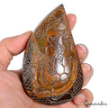 Tiger Eye Carving, Untreated, Brown — 109 x 65 x 30mm, 1680 Ct