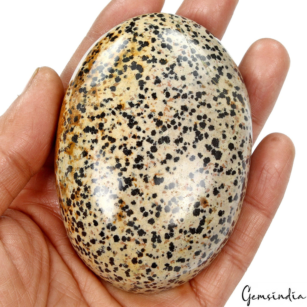 1290 Ct Natural Untreated Dalmatian Jasper Black spotted Oval Cabochon Gemstone