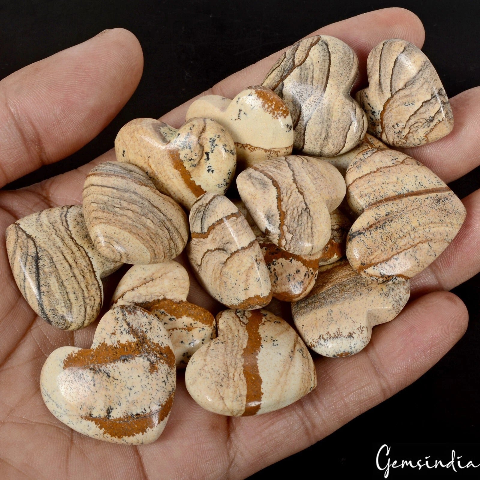 Picture Jasper Lot, Cabochon — 16 Pieces, 23mm to 27mm, 720 Ct