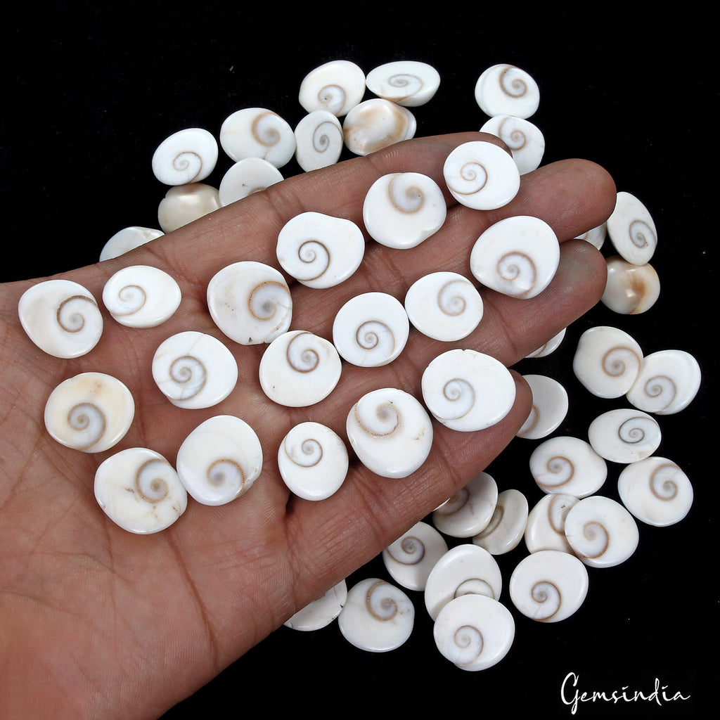 500 Ct/53 Pcs Natural Untreated Gomti Chakra Shiva Eye Shell Cab Loose Gems Lot