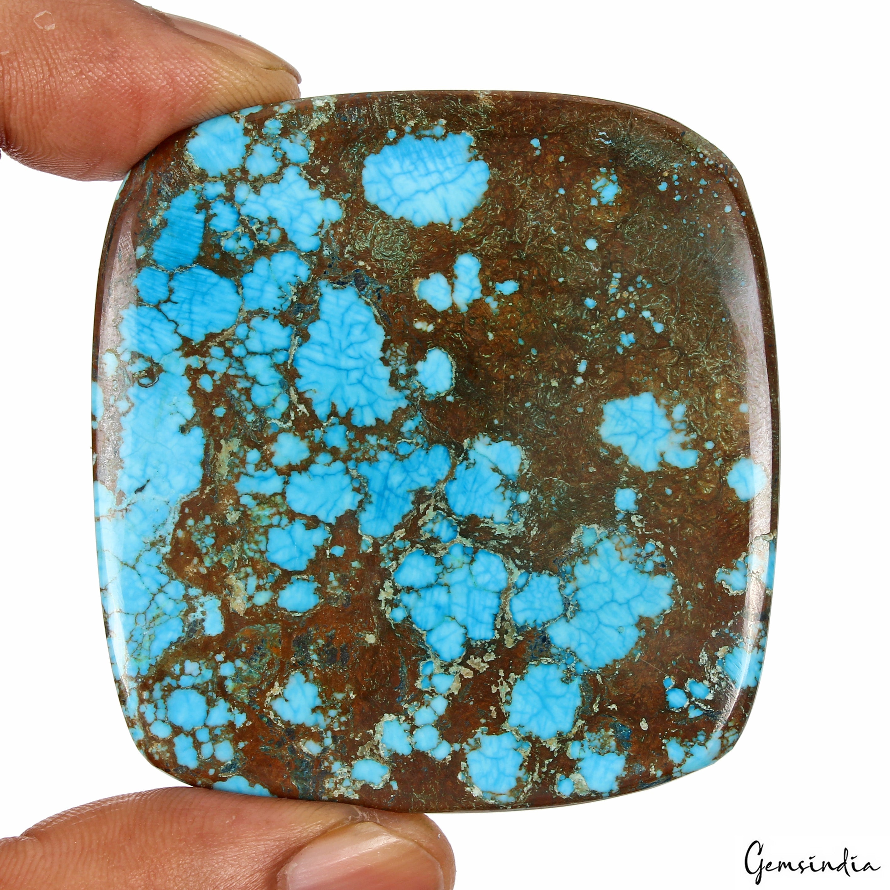 Spiderweb Blue Turquoise Cushion Cab Arizona 233.10 Ct Museum Size Gems From U.S
