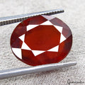 AAA Grade 8.85Ct Natural Hessonite Garnet Oval Cut IGL&I Certified Huge Gemstone
