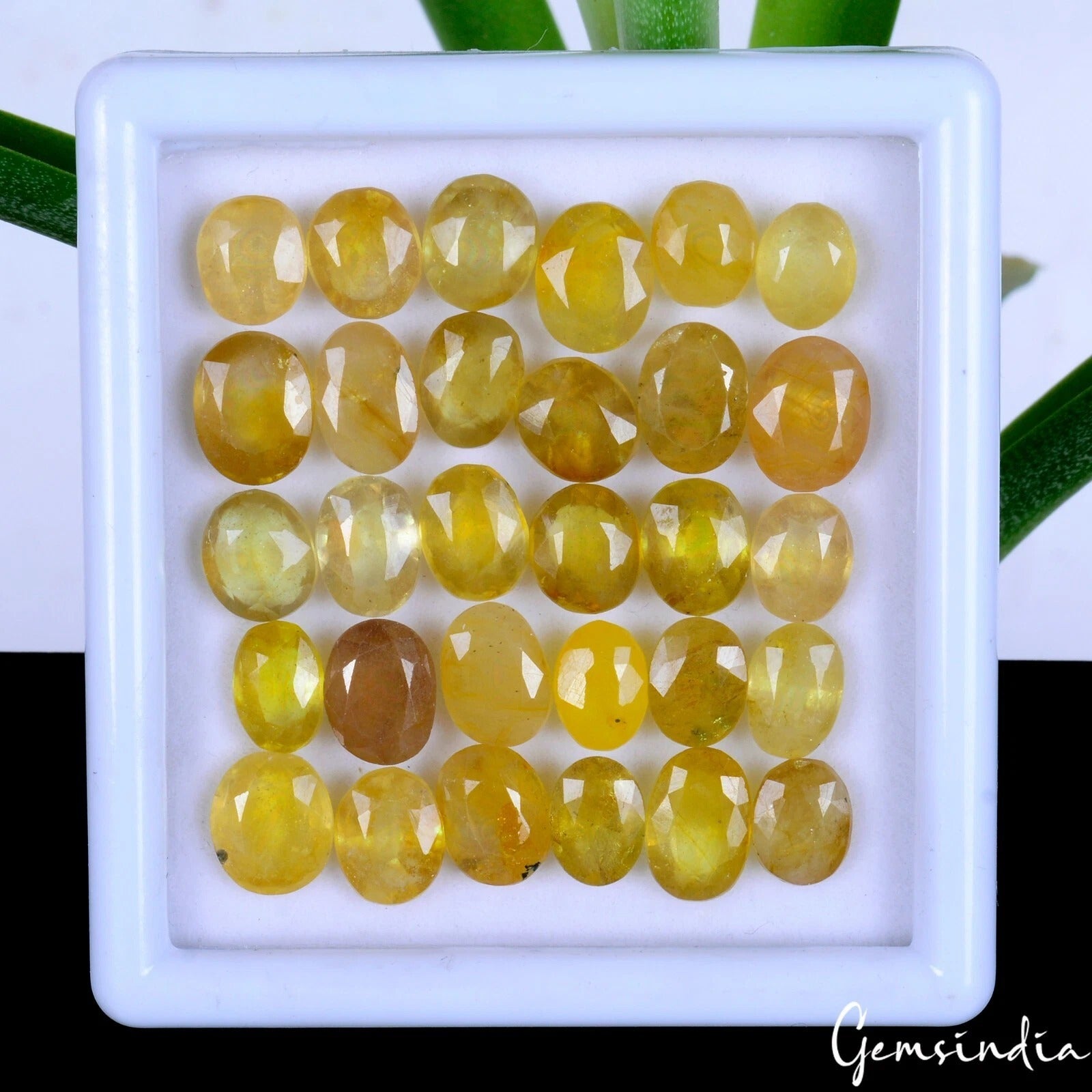 Yellow Sapphire Lot, Loose Gemstone — 30 Pieces, 8mm, 88.80 Ct, Sri Lanka