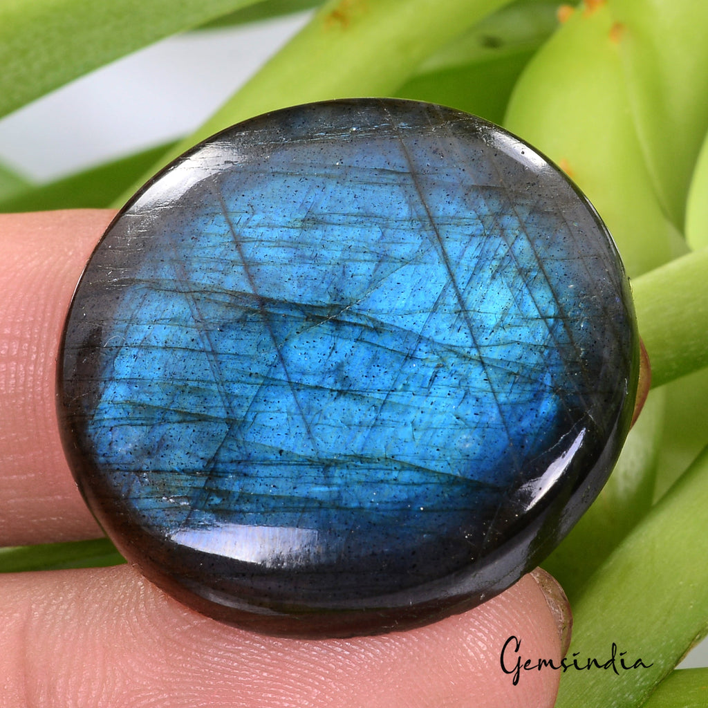 55.70 Ct Natural Untreated Blue Shine Labradorite Round Cab Certified Loose Gems