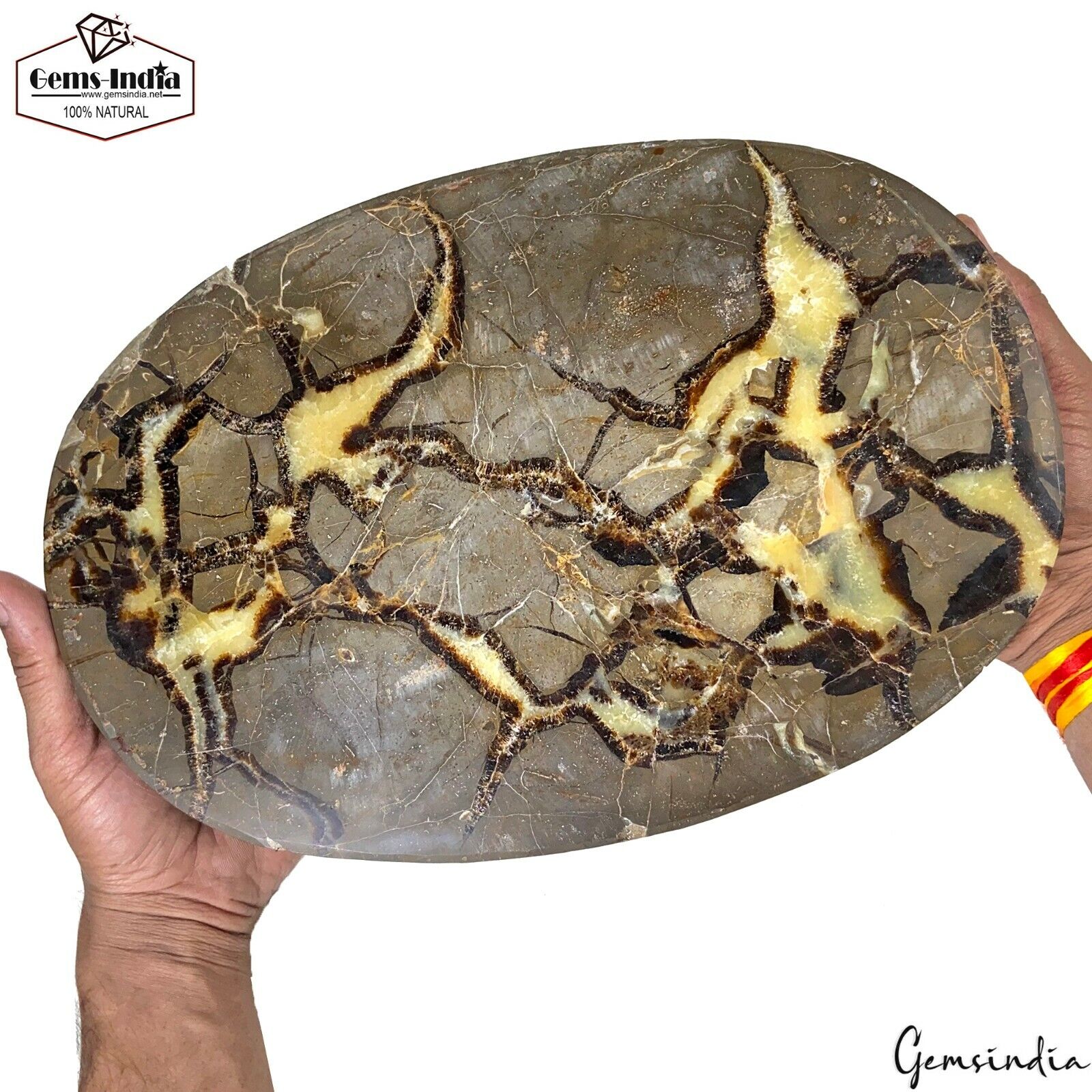 9 Kilo Large Rare Septarian Nodule Tri Color Dragon Colle