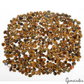 3500 Cts/585 Pcs Natural Brown Tiger Eye Mix Cab Loose Gems Superb Wholesale Lot