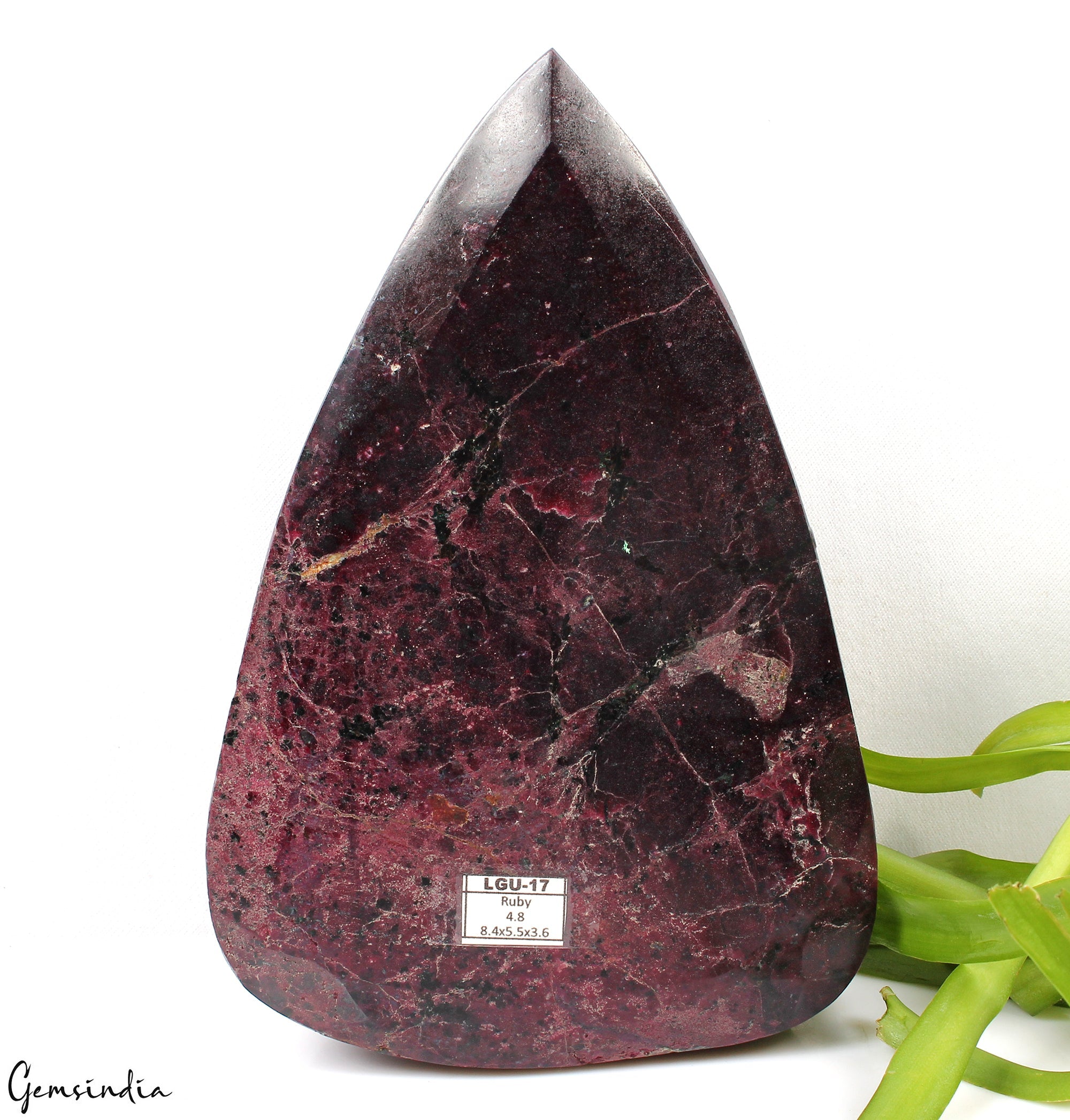 Natural Untreated Red Ruby 4.8 kilo Very Large Pear Cut Loose Gemstone w/ Stand