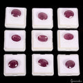 Certified 9 Pcs Natural Mozambique Red Ruby 87.30 Ct AAA Quality Loose Gemstones