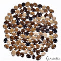 Smoky Quartz Lot, Cabochon, Oval Cabochon, Untreated — 130 Pieces, 8mm to 20mm, 1200 Ct, Madagascar