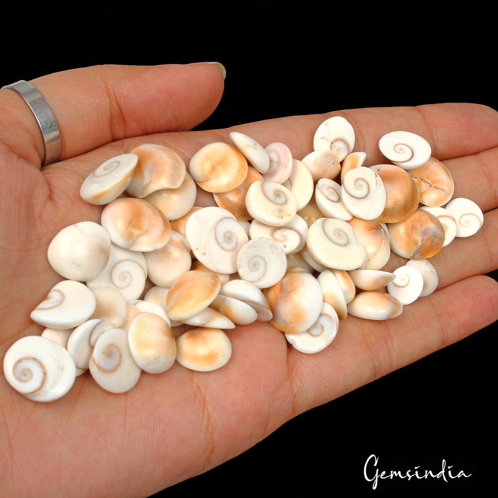280 Ct Natural Untreated Gomti Chakra Fancy Cabochon Loose Gemstone Lot 65 Pcs