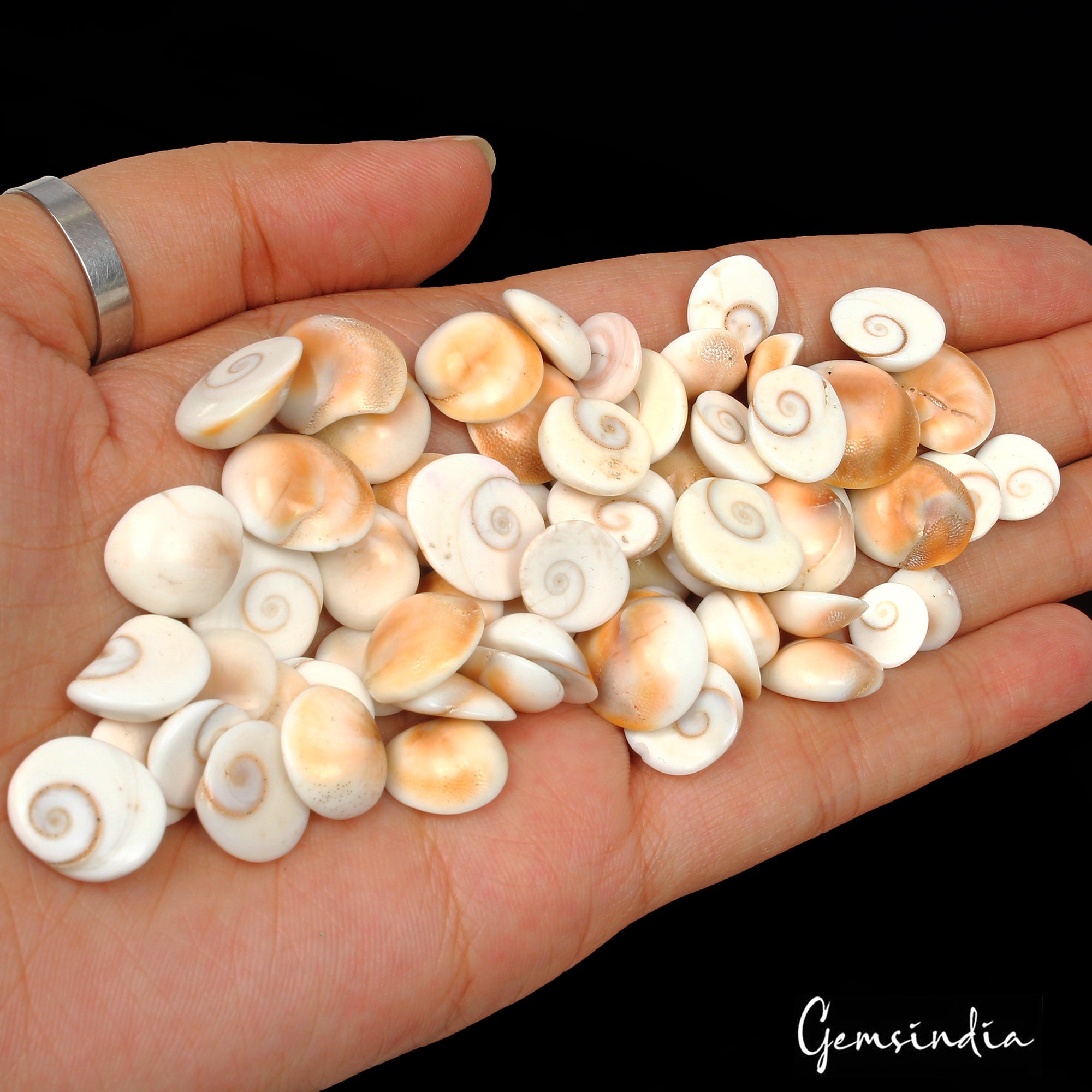 280 Ct Natural Untreated Gomti Chakra Fancy Cabochon Loose Gemstone Lot 65 Pcs