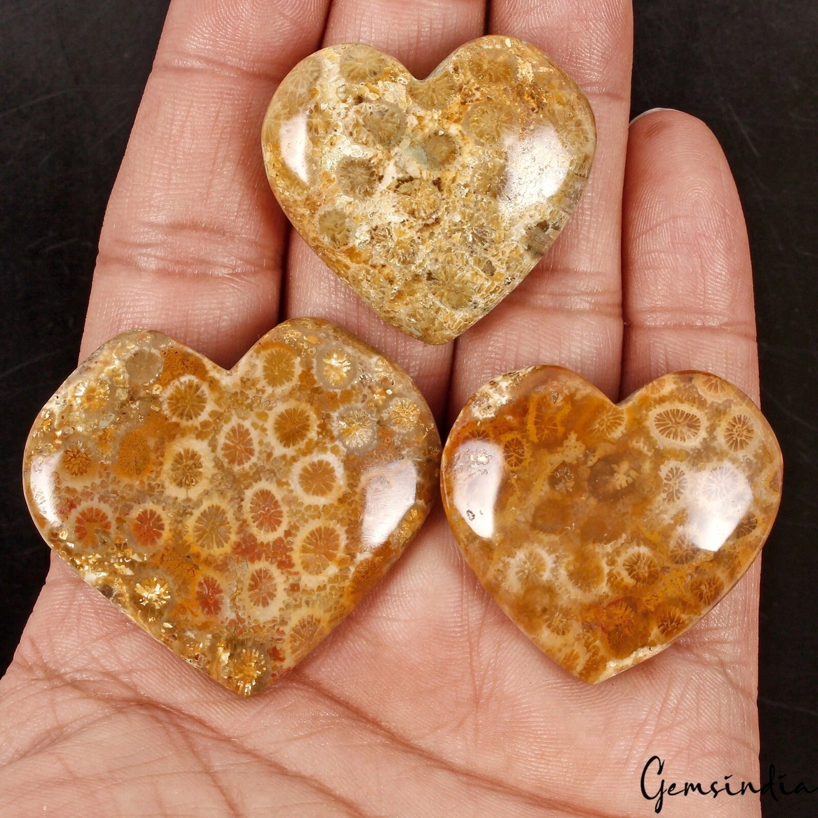 Coral Lot, Cabochon, Untreated — 3 Pieces, 32mm to 40mm, 300 Ct, Madagascar