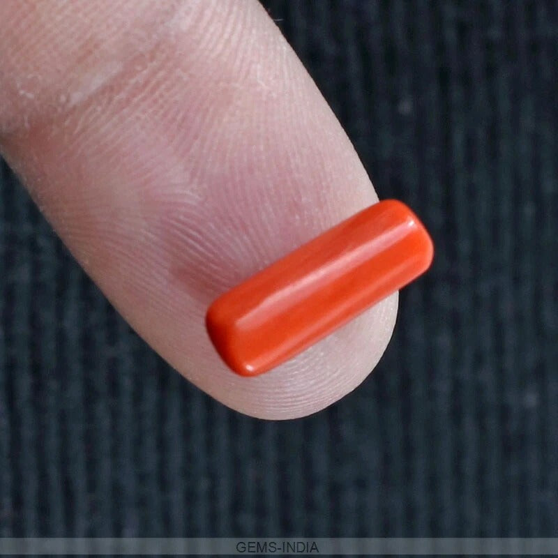 Certified 2.40 Ct Natural Untreated Precious Italian Red Coral Capsule Shape Gem