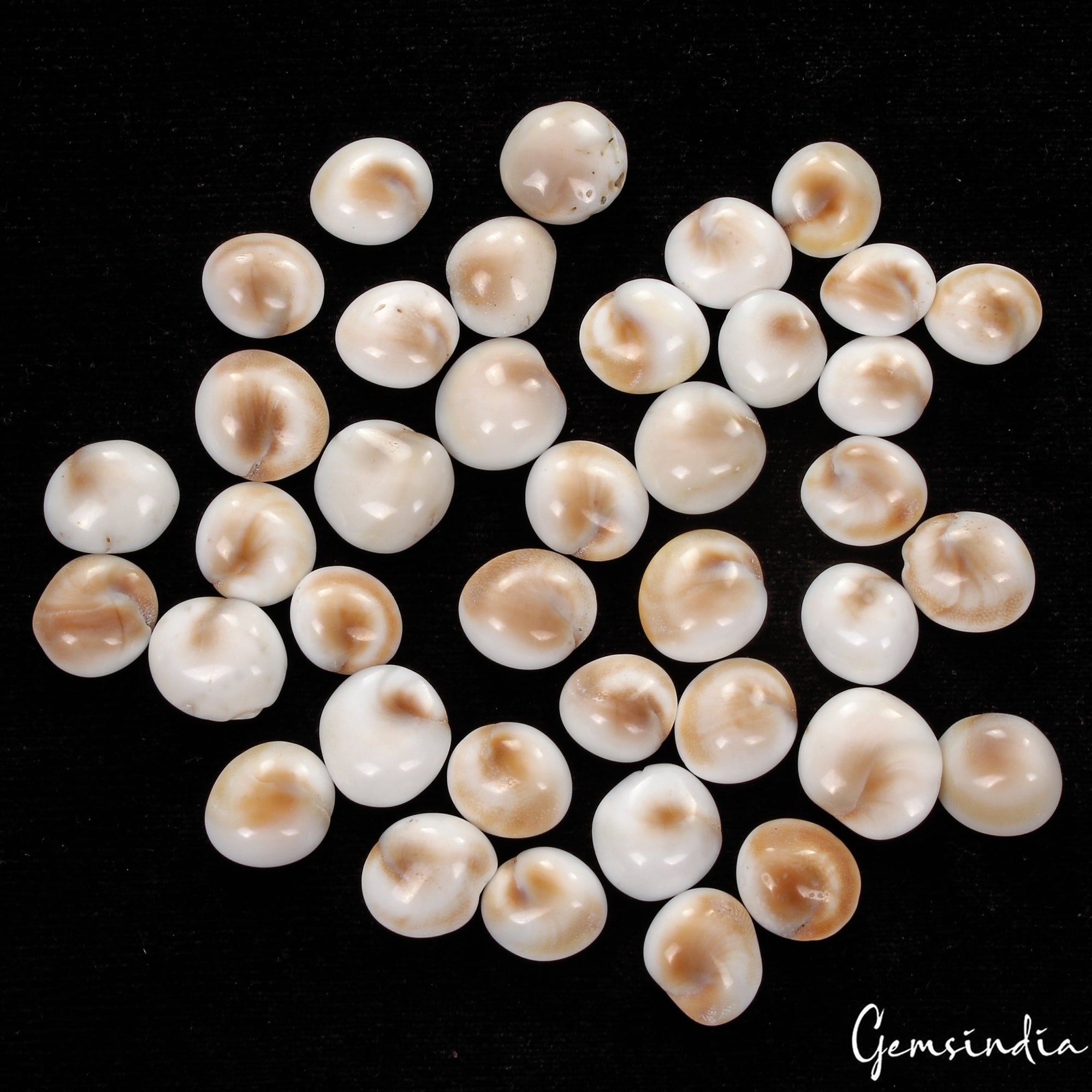 120 Cts/39 Pcs Natural Untreated Gomti Chakra Round Cab Loosb Loose Gems For Jew