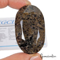 Certified 350 Cts Natural Untreated Bi Color Lepard Sapphire Oval Cut Loose Gem