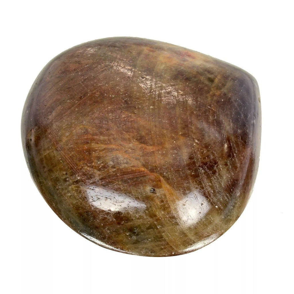 760 Ct Untreated Sapphire Brown Pear Cabochon Huge Certified Gemstone~58x60x23mm