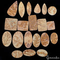 640 Cts/20 Pcs Natural Psilomelane Dendrite Fossil Tree Agate Mix Cut Loose Gems