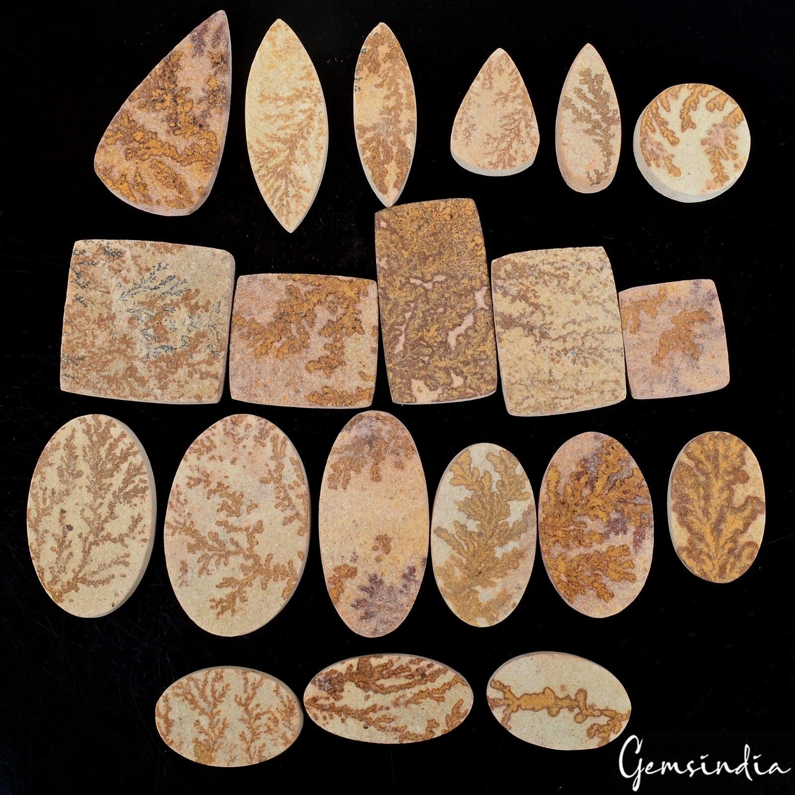 640 Cts/20 Pcs Natural Psilomelane Dendrite Fossil Tree Agate Mix Cut Loose Gems