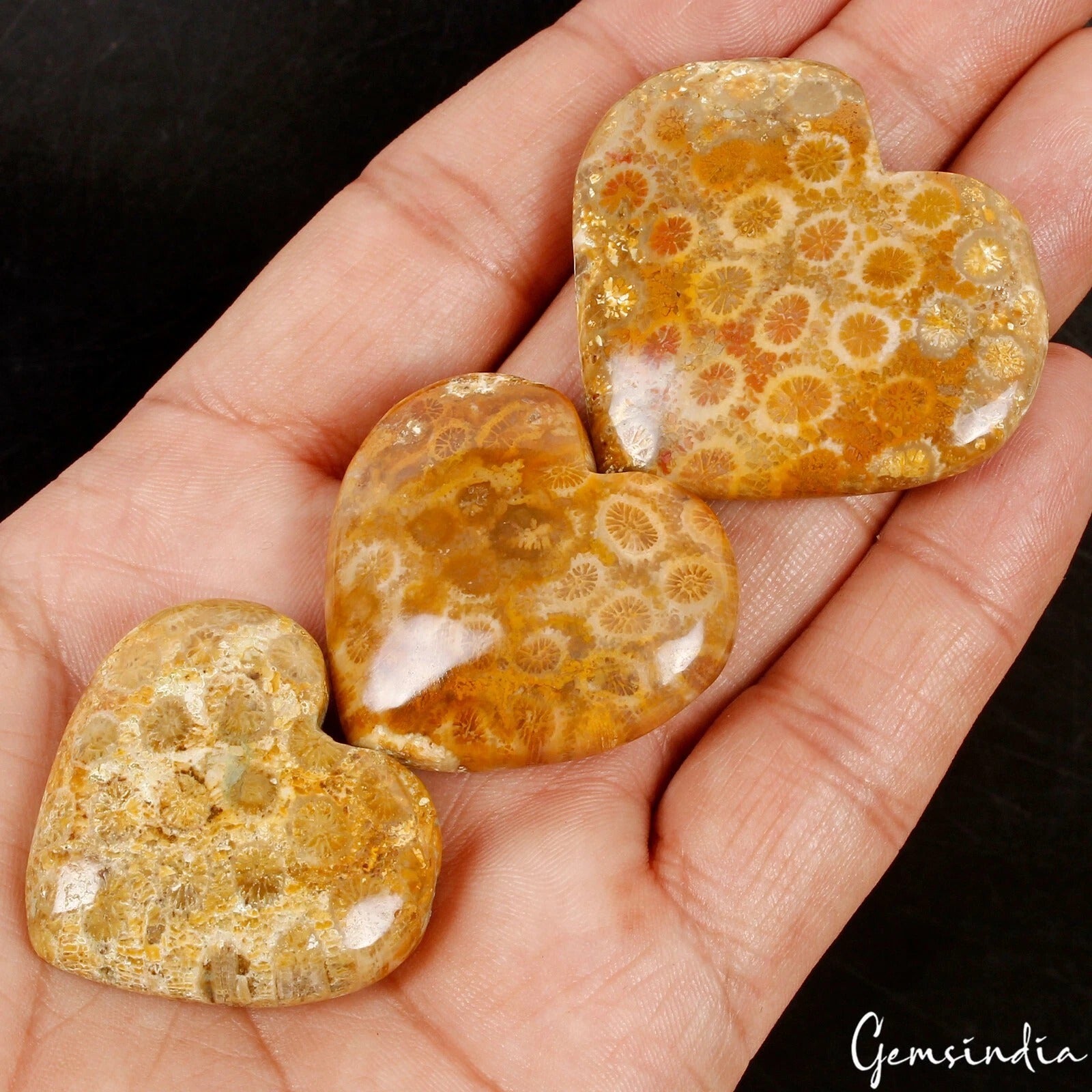 Coral Lot, Cabochon, Untreated — 3 Pieces, 32mm to 40mm, 300 Ct, Madagascar
