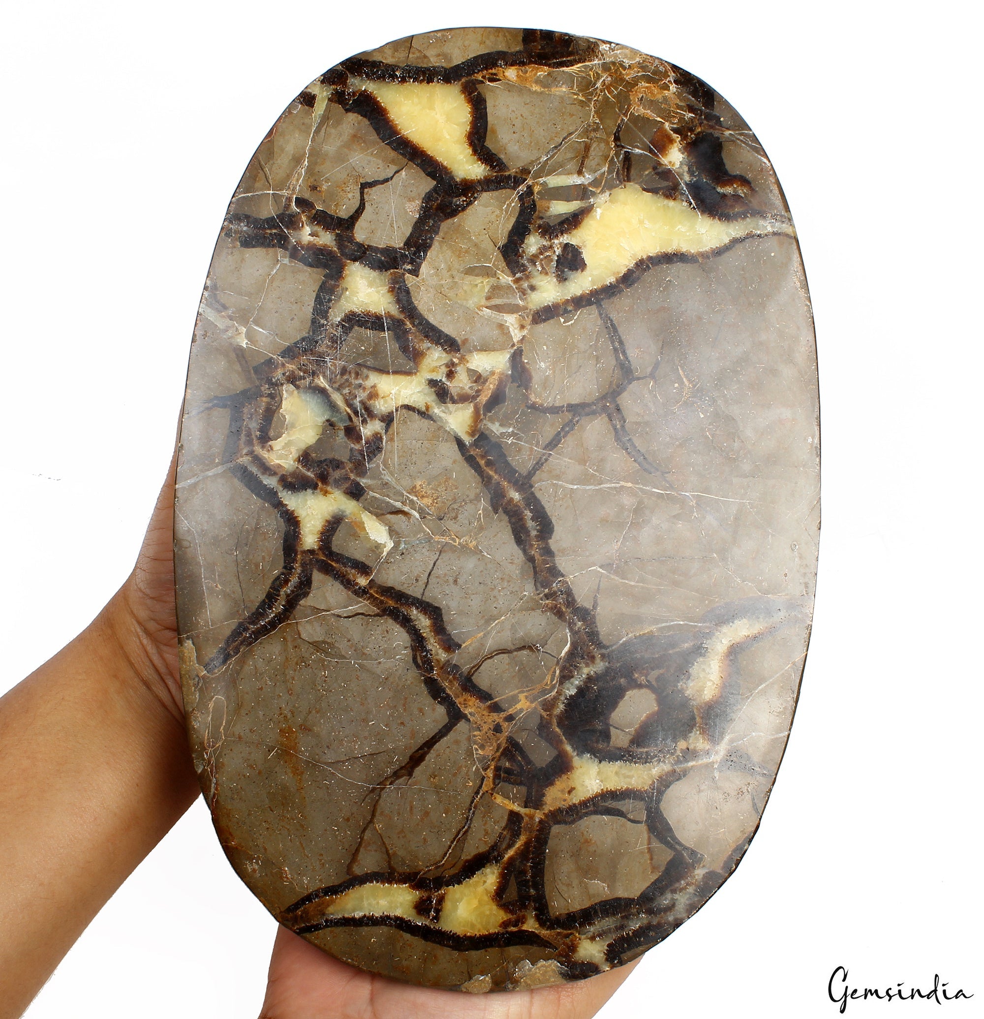 5.6 Kilo Huge Rare Natural Septarian Nodule Tri Color Dragon Oval Cab Gemstone