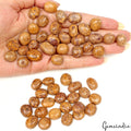 500 Ct/53 Pcs Natural Untreated Marium Jasper Oval Cab Loose Gems for Jewelry