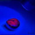 Certified 207.20Ct Natural Ruby Zoisite Crystal Healing Tumble Polished Gemstone