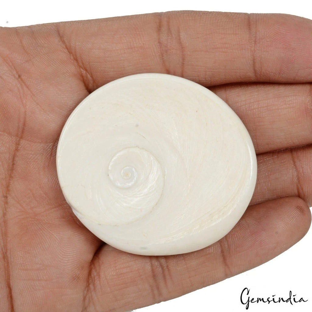 226.90 Cts Natural Untreated Gomti Chakra Round Cab Huge Loose Gems For Jewelry