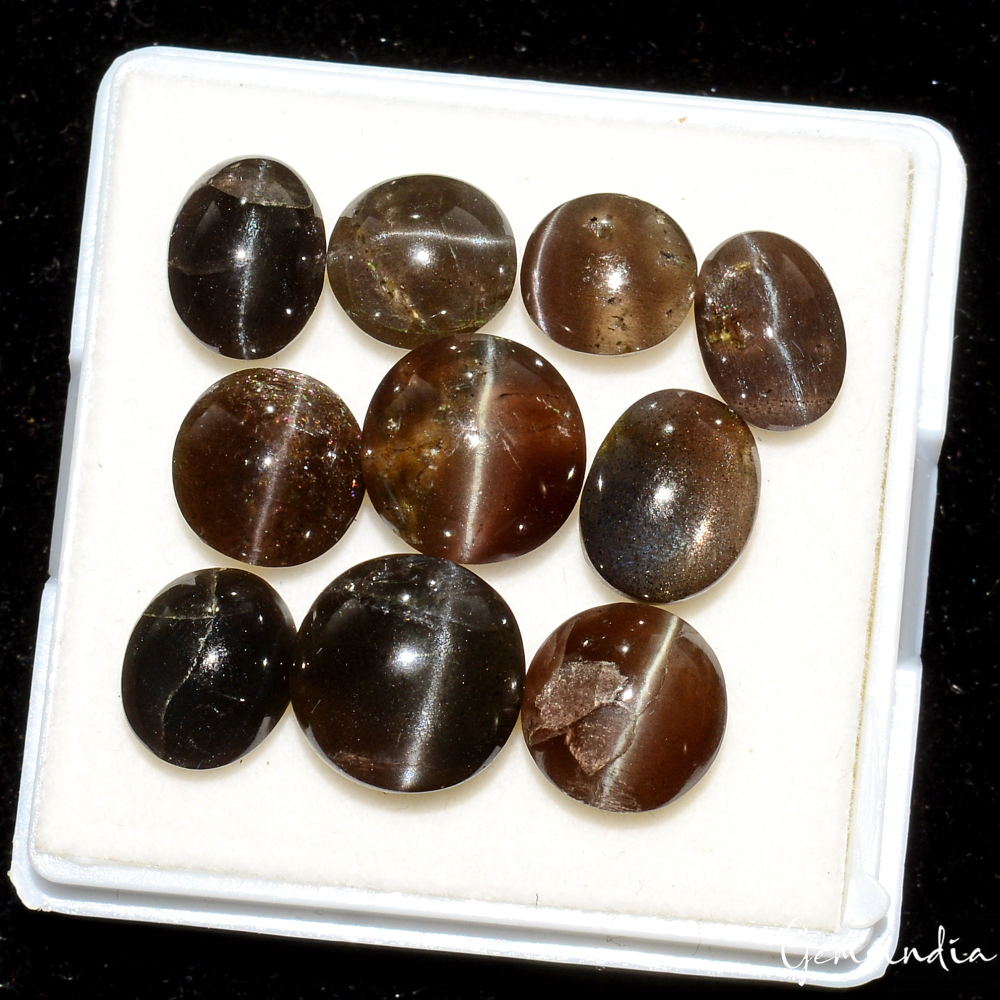 Natural Untreated Spectrolite Cats Eye Mix Cab Loose Gemstones 37.50 Ct/8-11mm