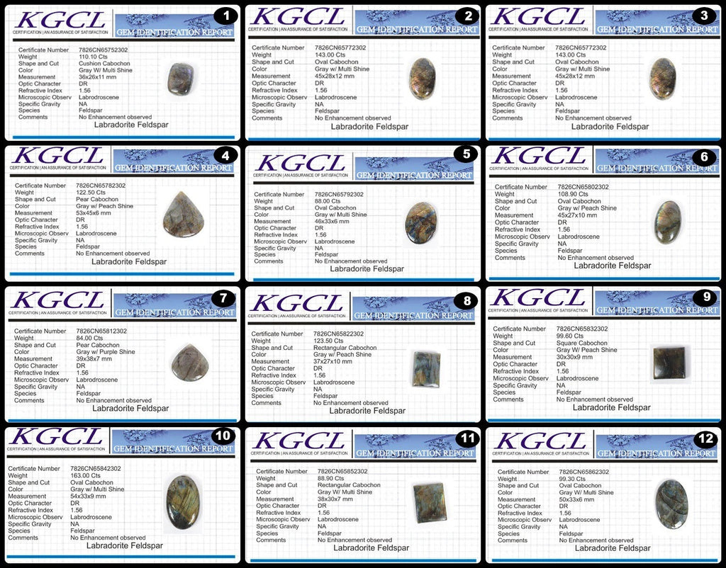 1346.20 Ct/12 PcNatural Multi Fire Labradorite Mix Cab Loose Certified Gems Lot