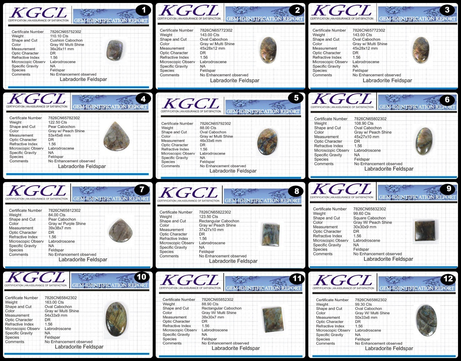 1346.20 Ct/12 PcNatural Multi Fire Labradorite Mix Cab Loose Certified Gems Lot