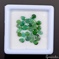 6.50 Ct/25 Pcs Natural Untreated Colombian Green Emerald Mix Cut Loose Gems Lot