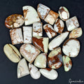 Bio Lemon Chrysoprase Mix Shape Cabochon Wholesale Lot 23 Pcs Natural Gemstones