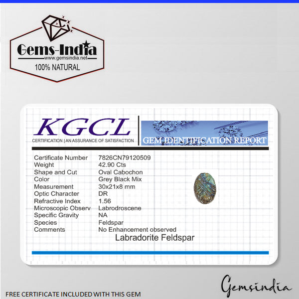 Certified 42.90 Cts Natural Multi Color Shine Labradorite Oval Carved Loose Gem