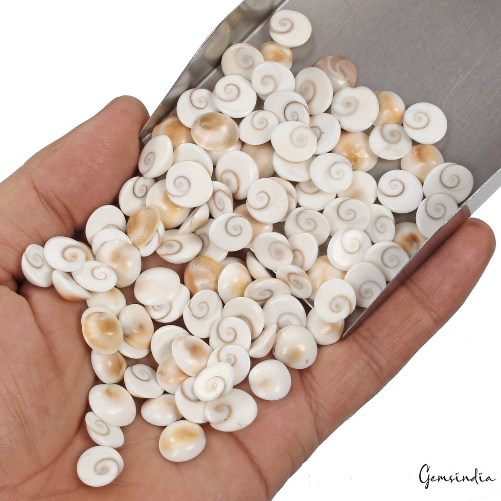 300 Ct/100 Pcs Natural Gomti Chakra Shiva Eye Shell Cab Loose Wholesale Gems Lot