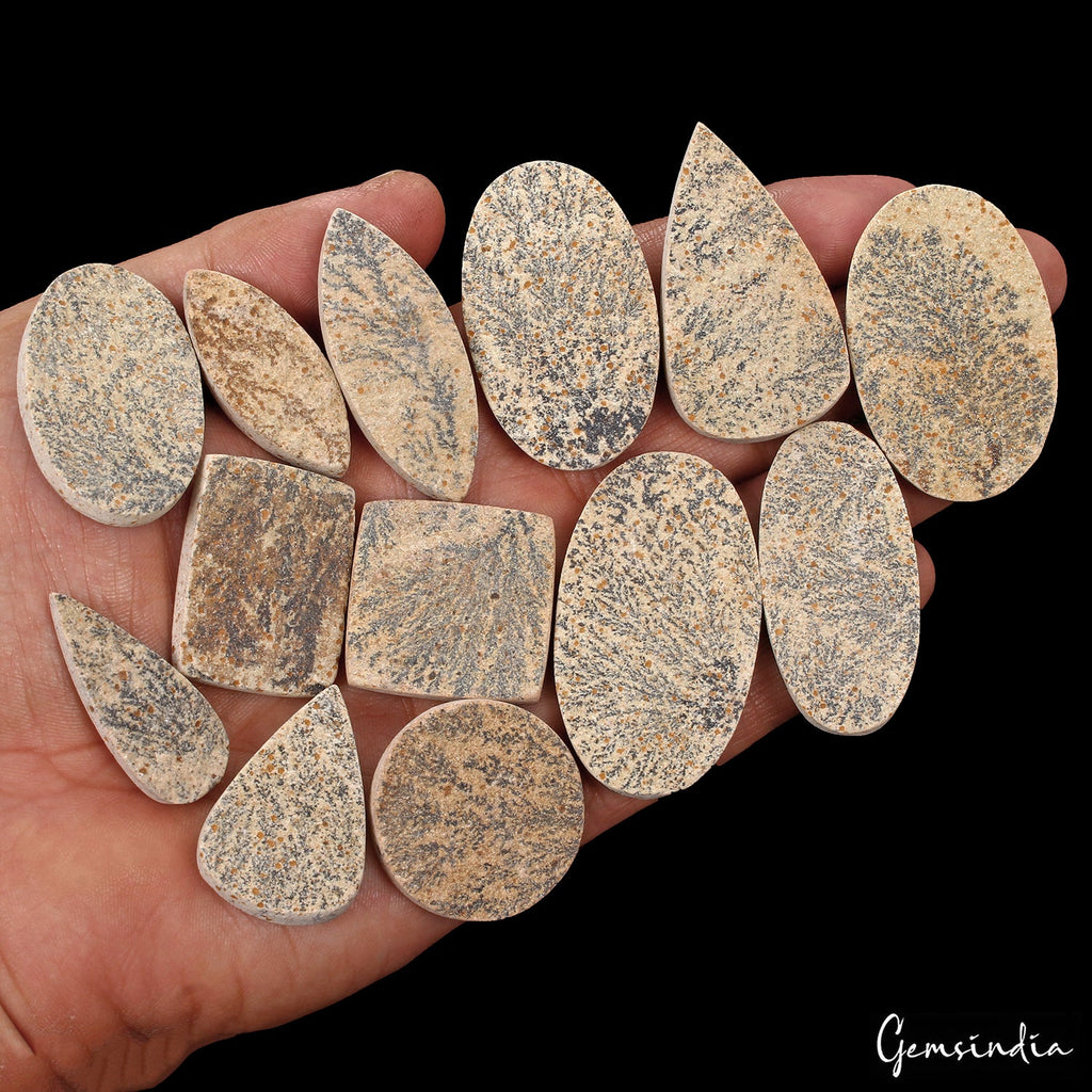 500 Ct Natural Psilomelane Mix Cut Flat Back Side Dendrite Free Agate Gems Lot