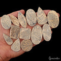 500 Ct Natural Psilomelane Mix Cut Flat Back Side Dendrite Free Agate Gems Lot