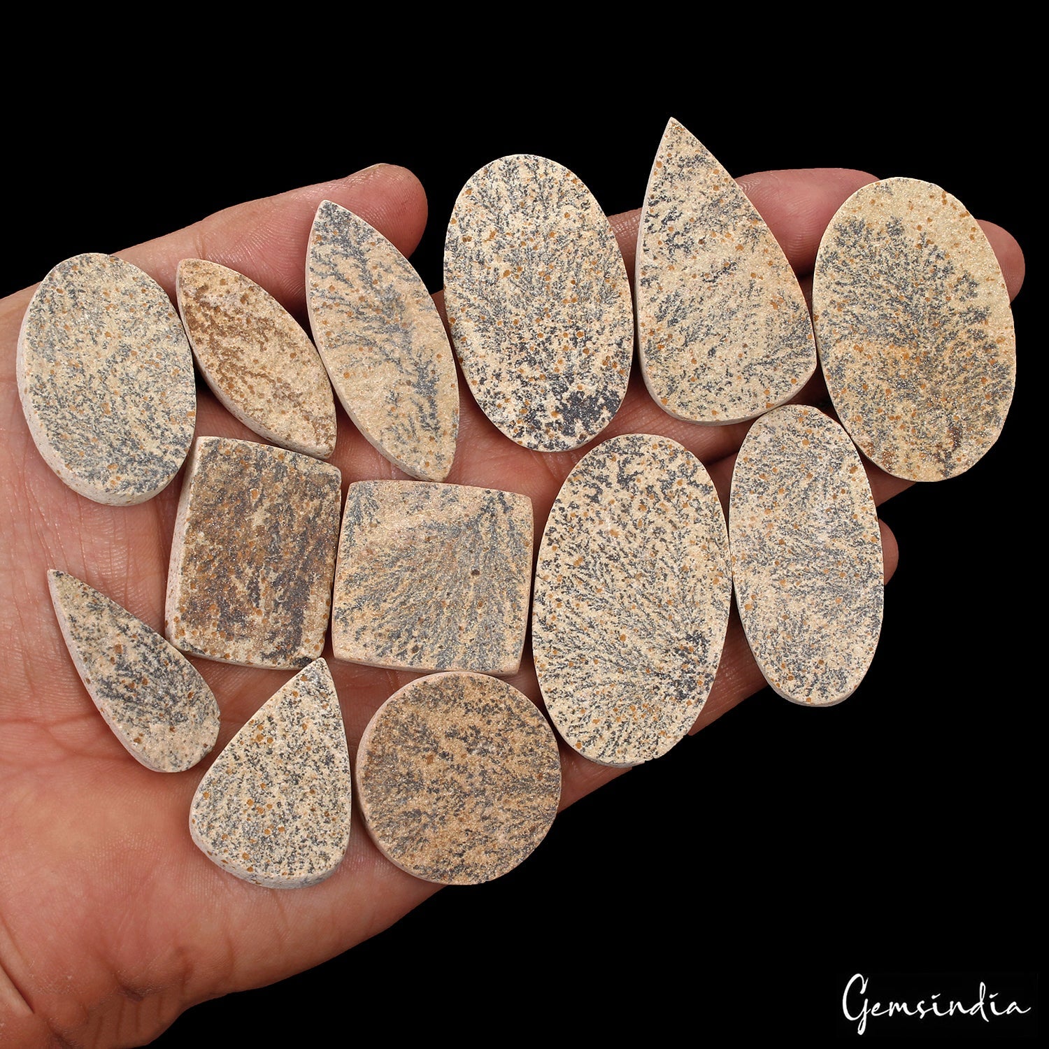 500 Ct Natural Psilomelane Mix Cut Flat Back Side Dendrite Free Agate Gems Lot